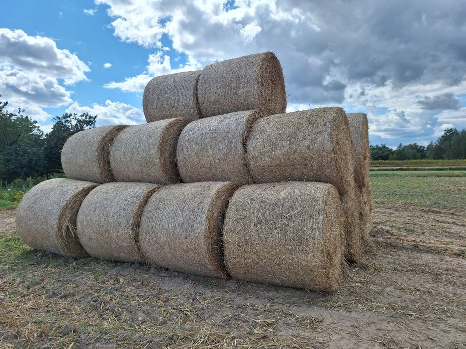 Sprzedam słome z 2025 roku