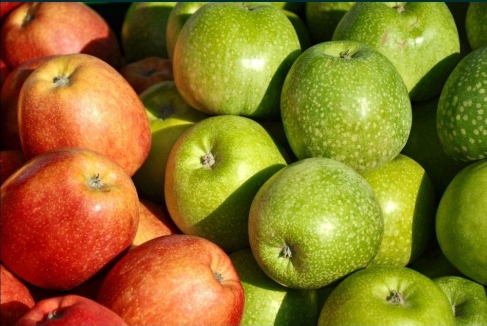 Часник Любаша, свіжі яблука домашні, морква, буряк столовий