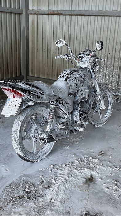 Musstang region 150 2022