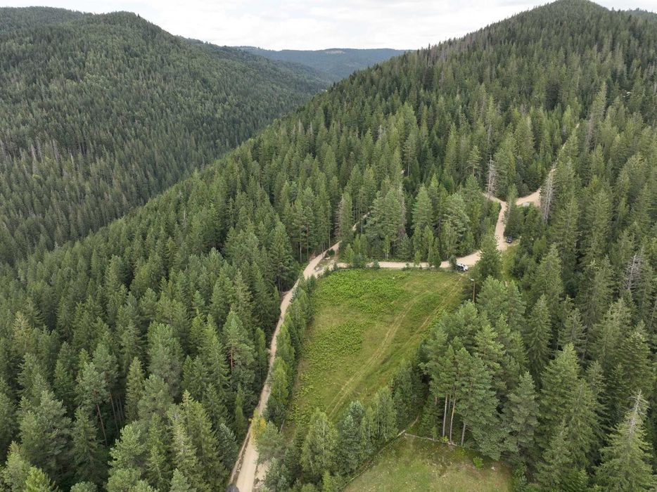 Земельна ділянка 0,34 га, с.Микуличин (панорама, ліс навколо)