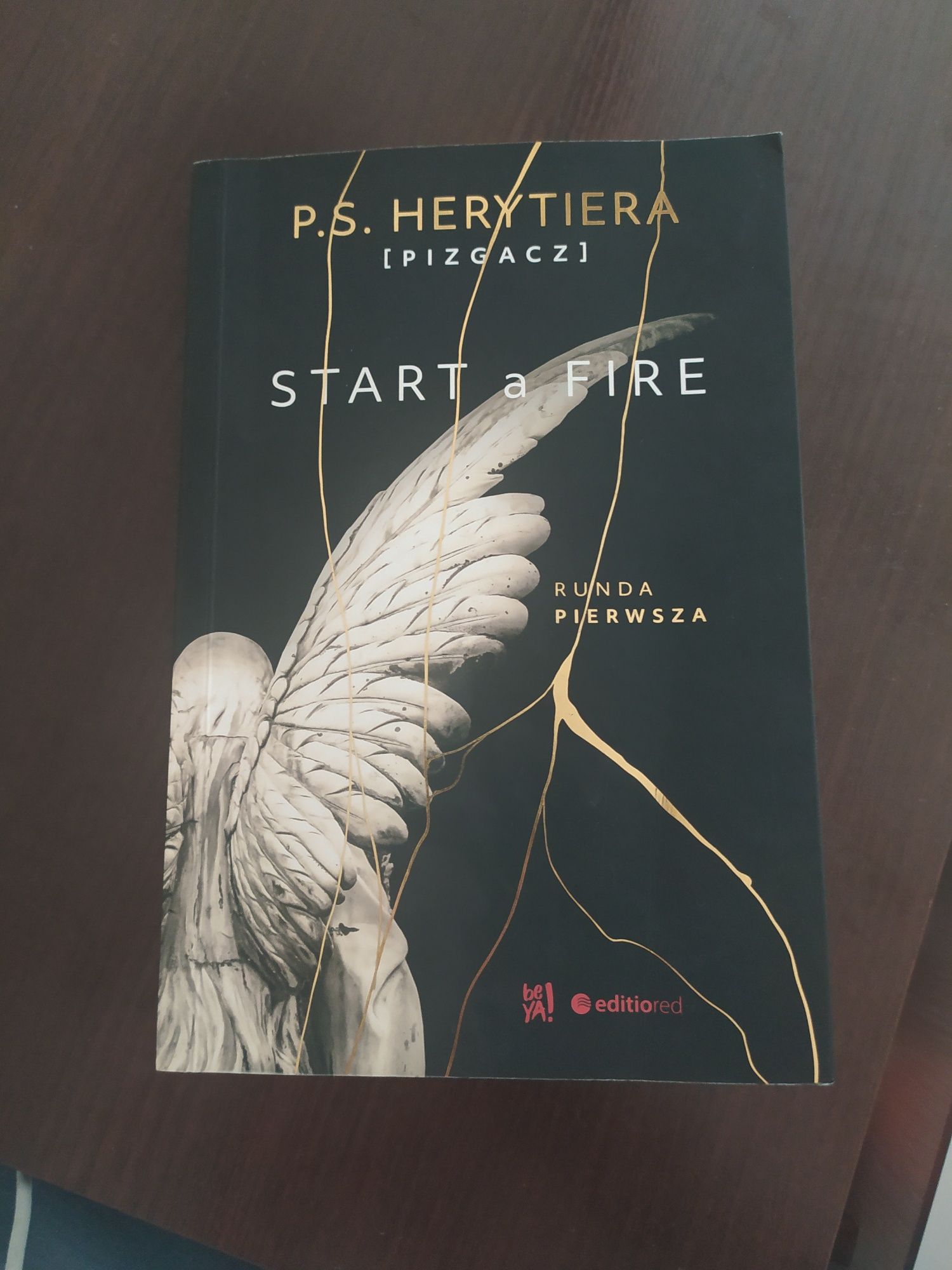Książka,, Start a Fire"