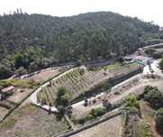 Quinta Com logradouro
