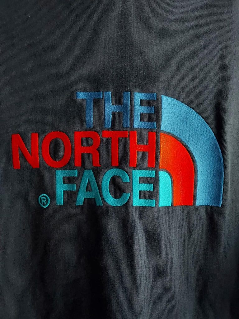 Bluza męska z kapturem The North Face