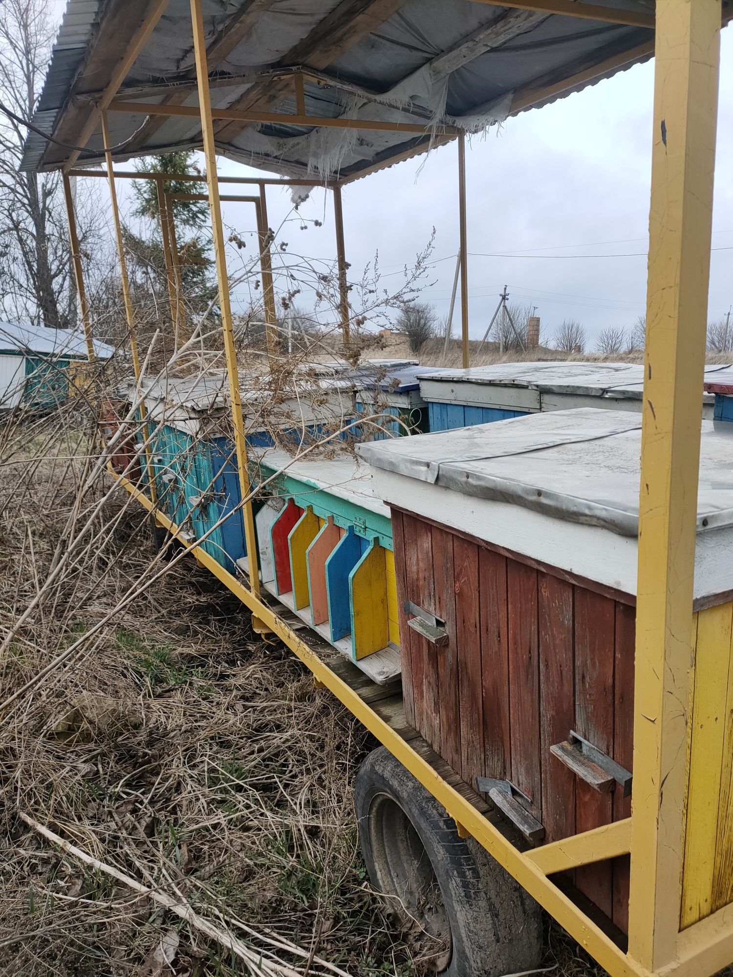 Пасіка на колесах, Бджолопавільйон.