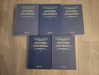 Anatomia człowieka Bochenek Tom 1, 2, 3, 4, 5 1-5