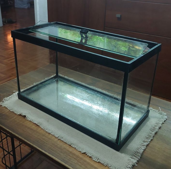 Aquário 20 litros