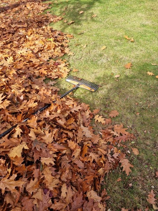 Jesienne Prace Ogrodowe - grabienie liści,przycinanie drzew I krzewów