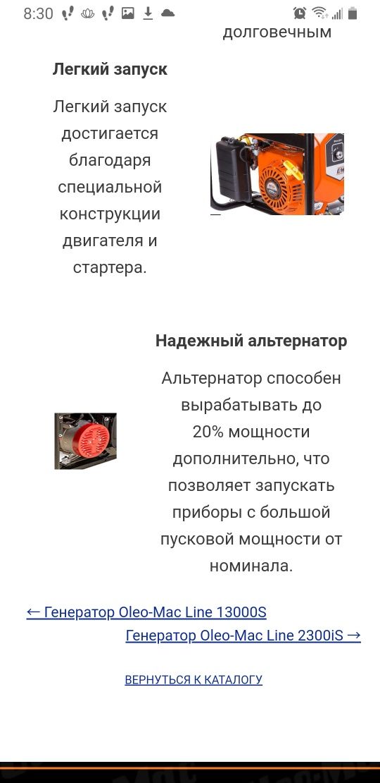 Генератор Oleo-Mac Line 3500