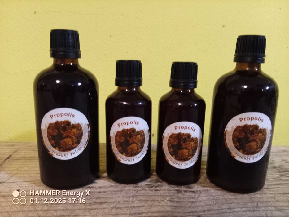 Propolis kit pszczeli