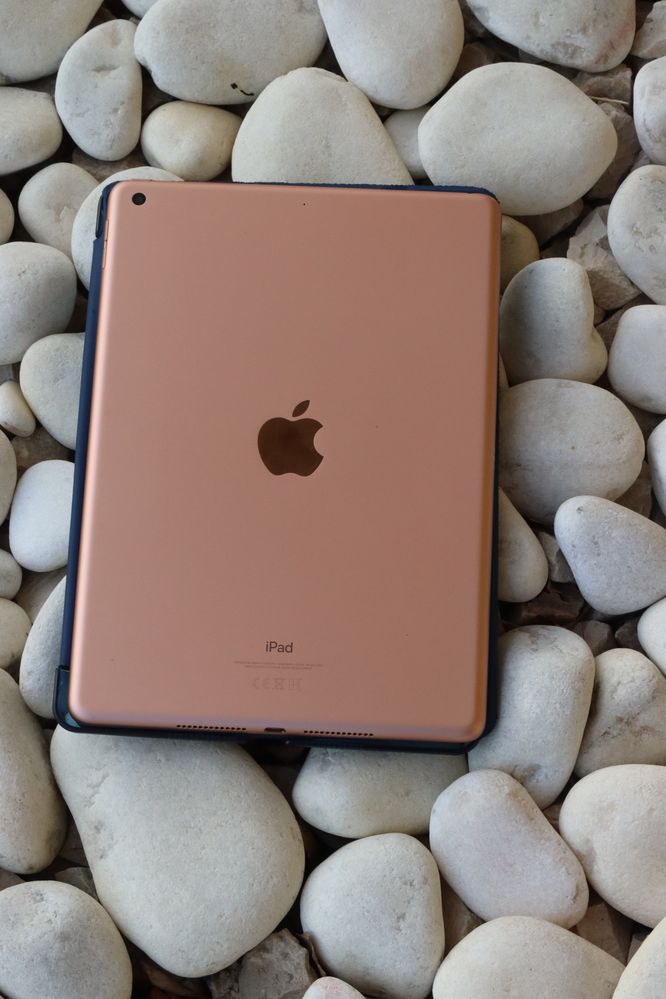iPad 10.2” 7 geração