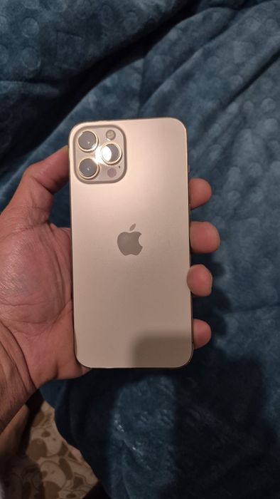 Iphone 12 PROMAX Dourado