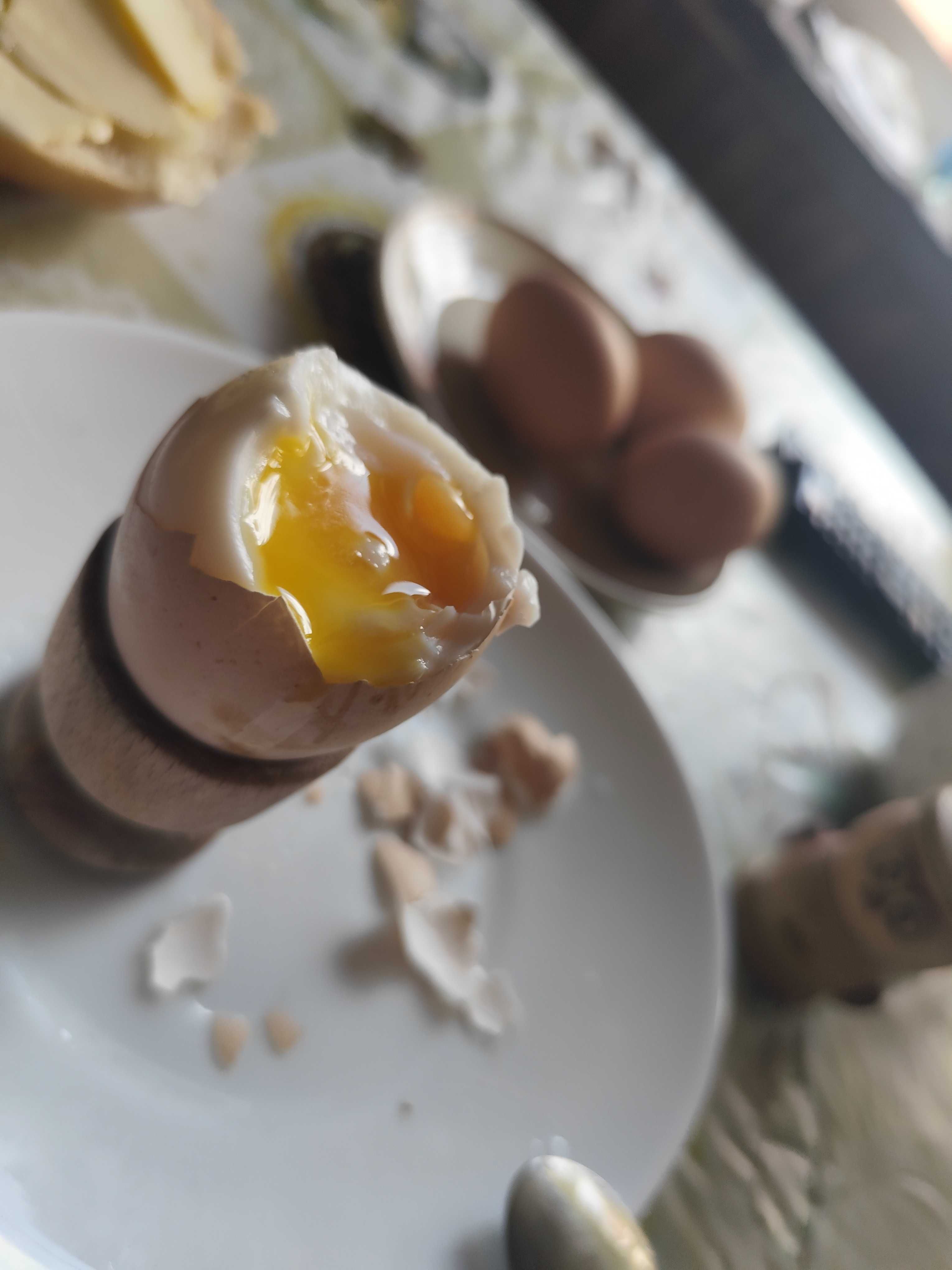 Jajeczka od kur z przydomowej zagrody