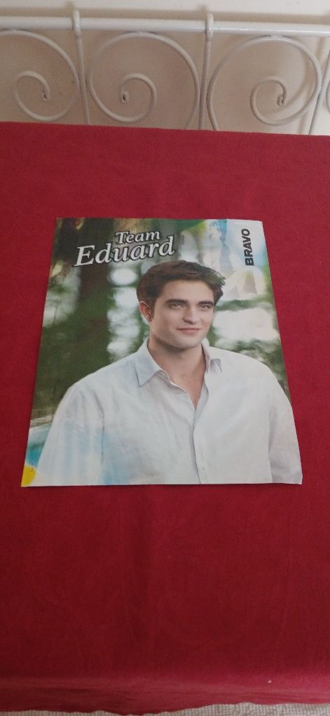 Poster Team Jacob/Team Eduard