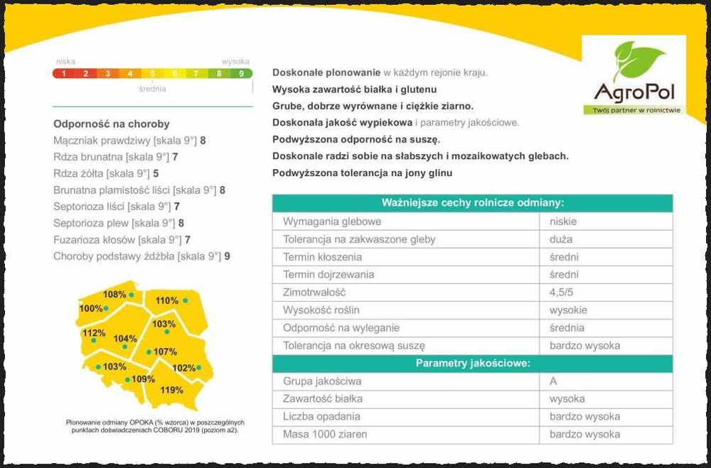 Pszenica Ozima OPOKA -Doskonałe Jakościowe Plony Nawet w Suszy Nasiona