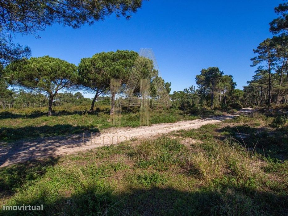 Terreno rural em Aldeia do Meco