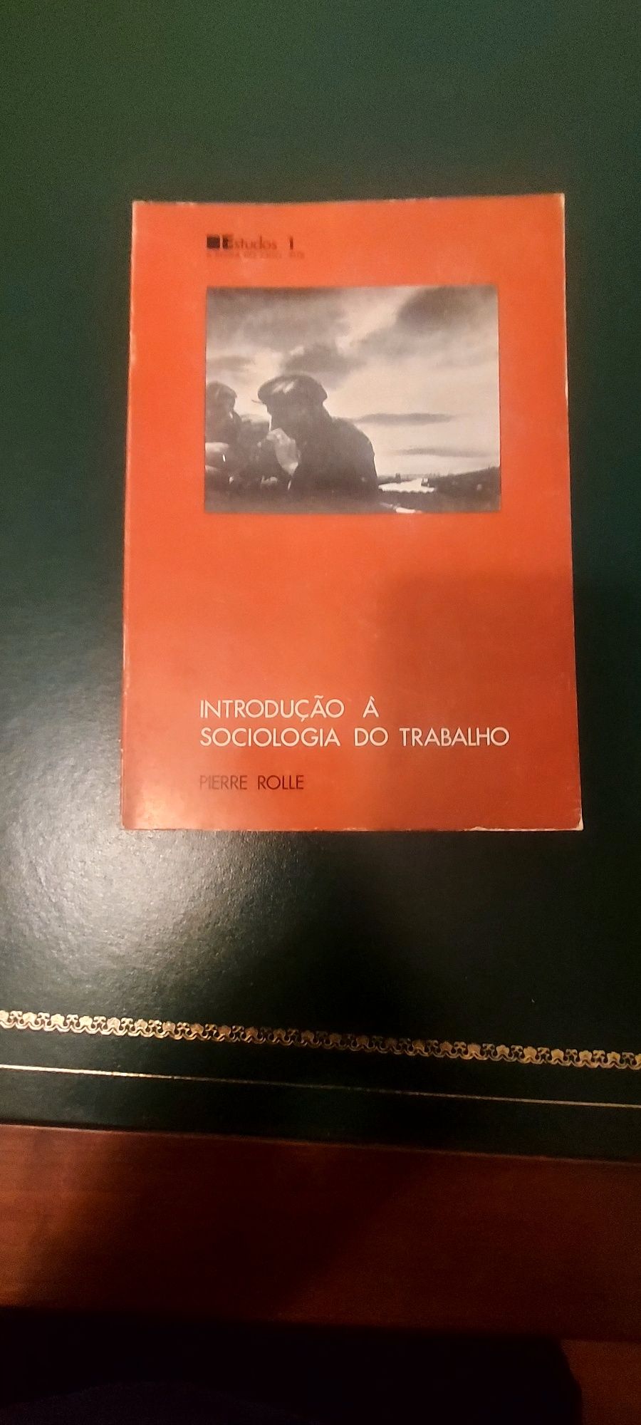 Introdução à Sociologia do Trabalho