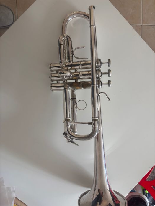 Trompete C Bach 229