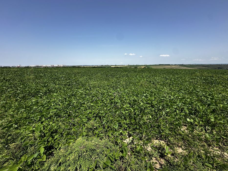 Продаж ділянки. Перша лінія біля басейну Shum