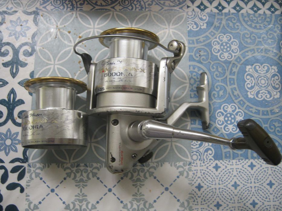 Carreto de Surf-casting Daiwa