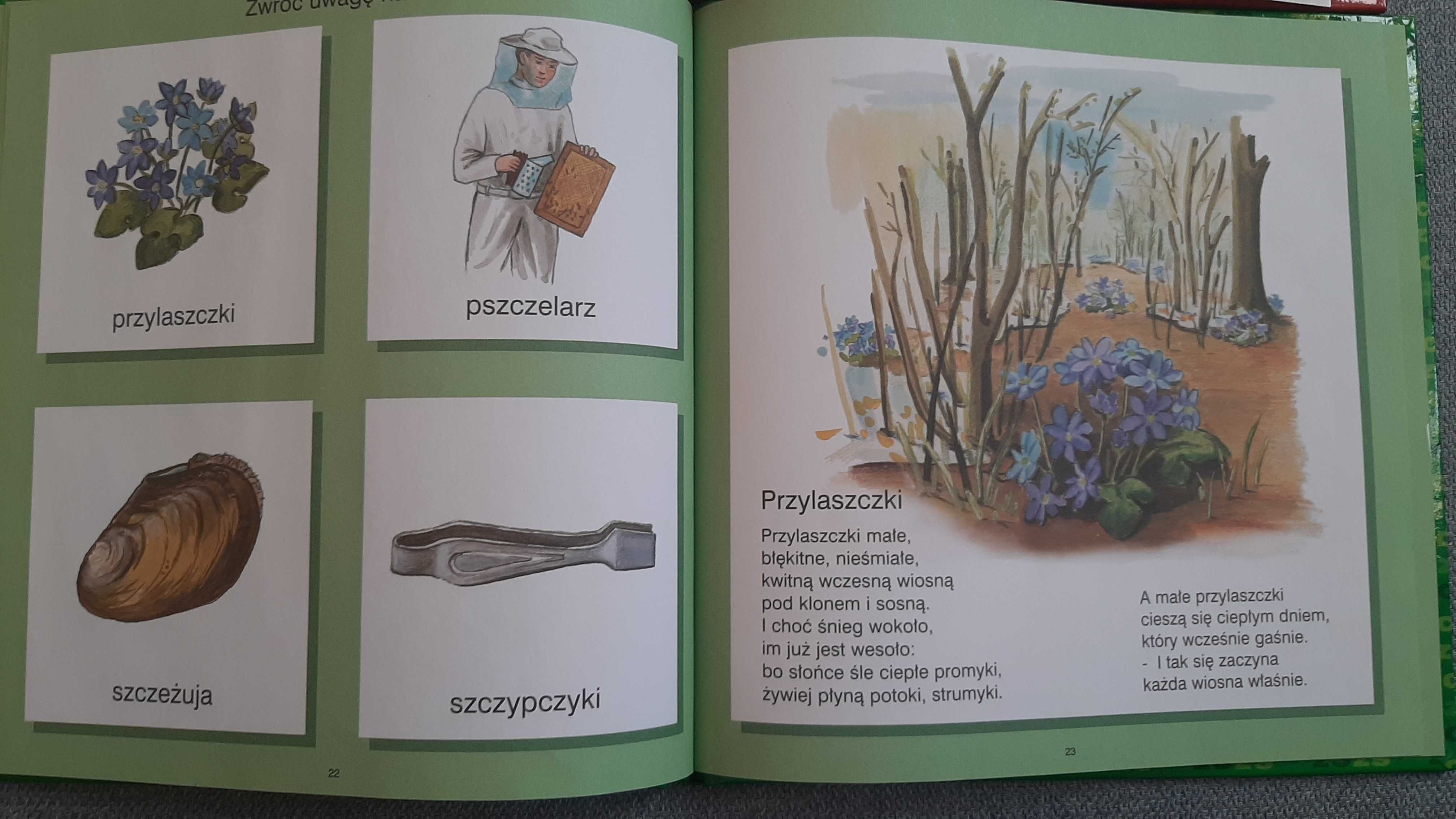 Joasia i wilk Ted Lobby lęk u dzieci W leśnym gąszczu logopedia Pluto