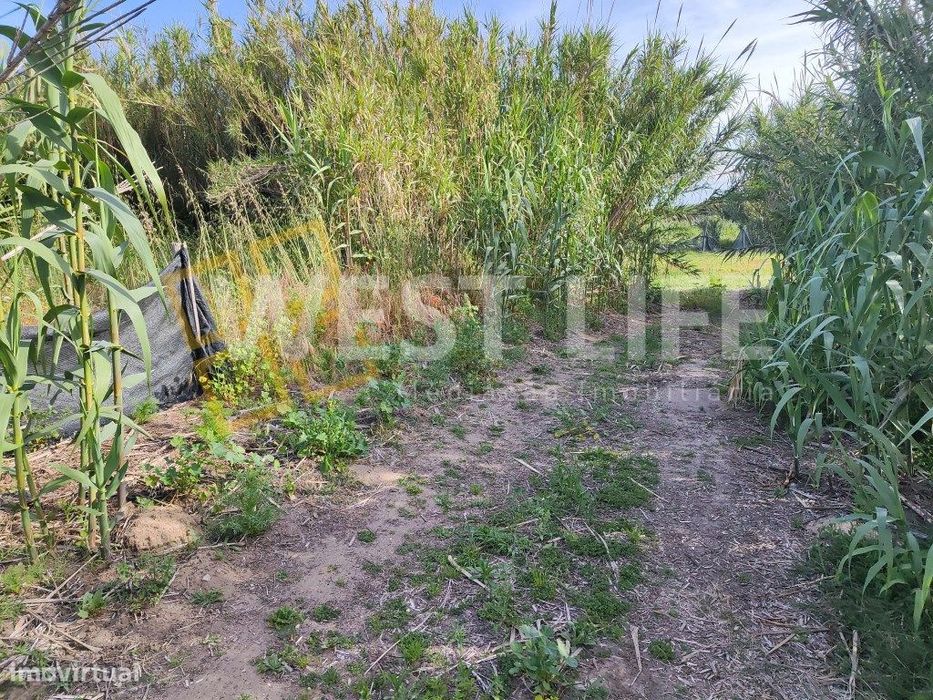 Terreno Rustico - Agrícola de 2560m2 - localização harmoniosa e boa...