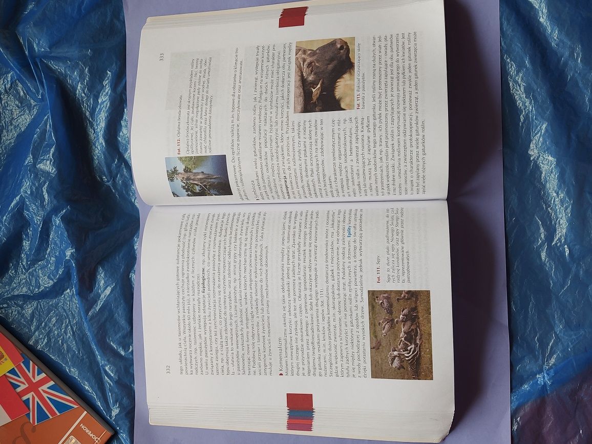 Książka BIOLOGIA kształcenie ogólne 2006rok