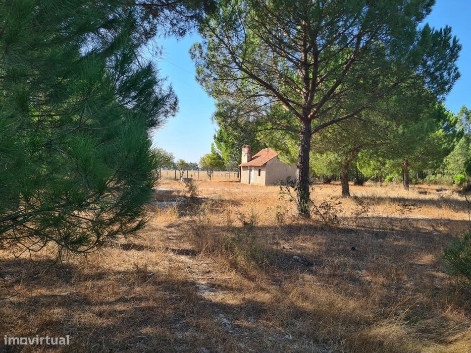 Grândola, Quinta com 7,7 ha – Oportunidade Única