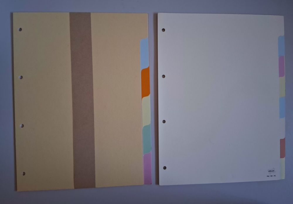 Separador com Divisórias A4 Cartolina - NOVO
Esselte