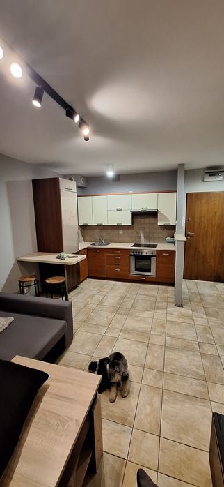 Kawalerka do wynajęcia