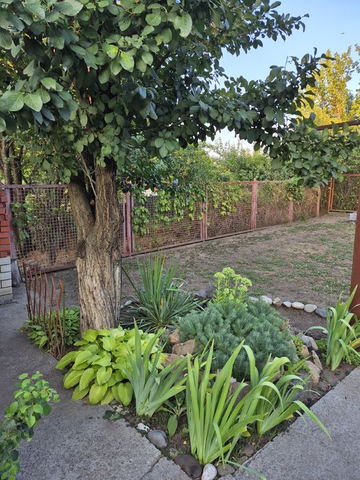 Продам свой дом( без посредников)