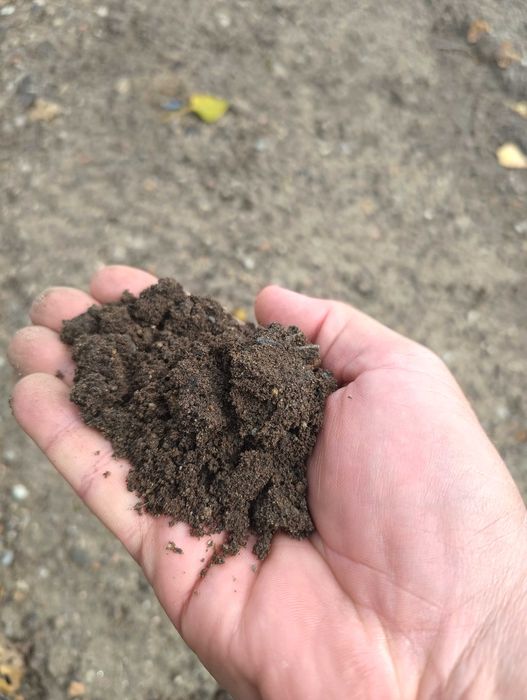 Ziemia ogrodowa z przesiewacza własny transport 7t, 18t, 25t