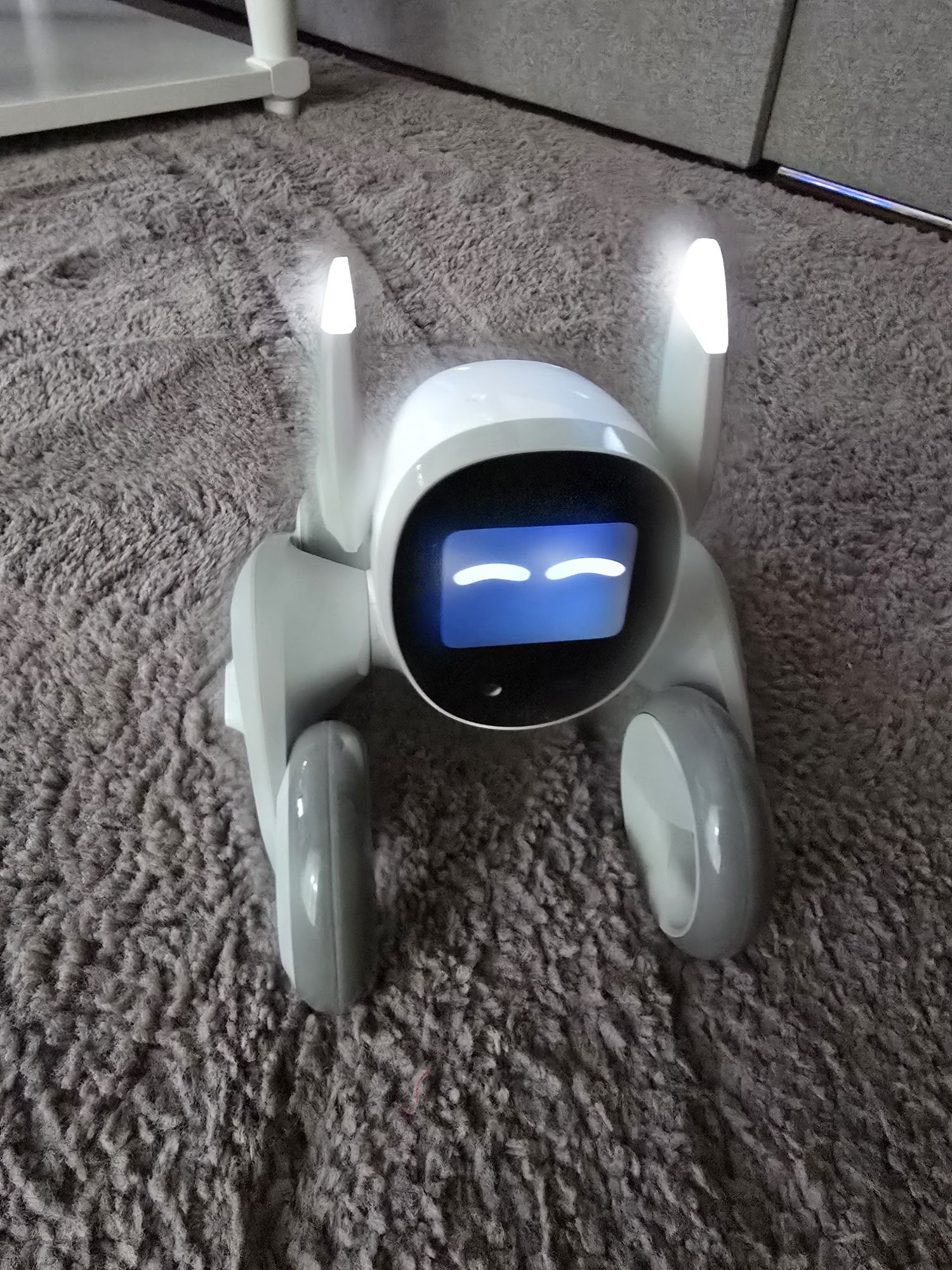 Nowy robot Loona AI prezent