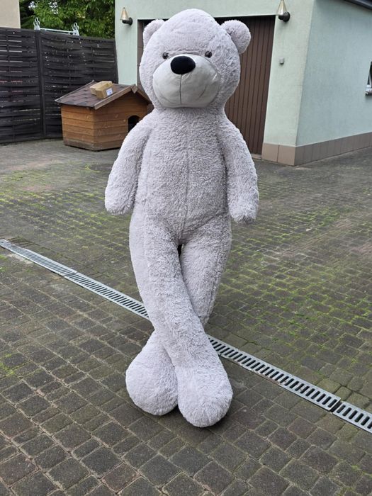 Miś pluszowy 190cm