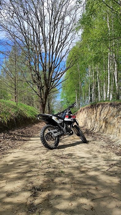 Aprilia etx 125 rotax