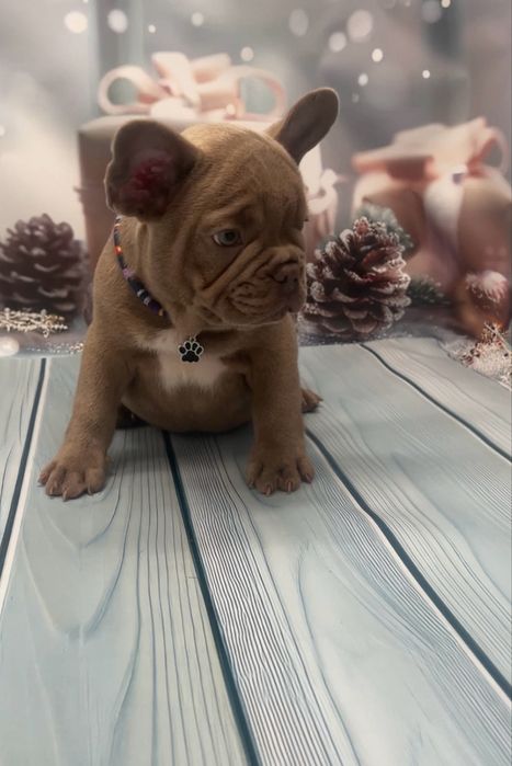 Самі кращі малюки два щепленя