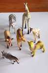 Animais diversos 2€ cada