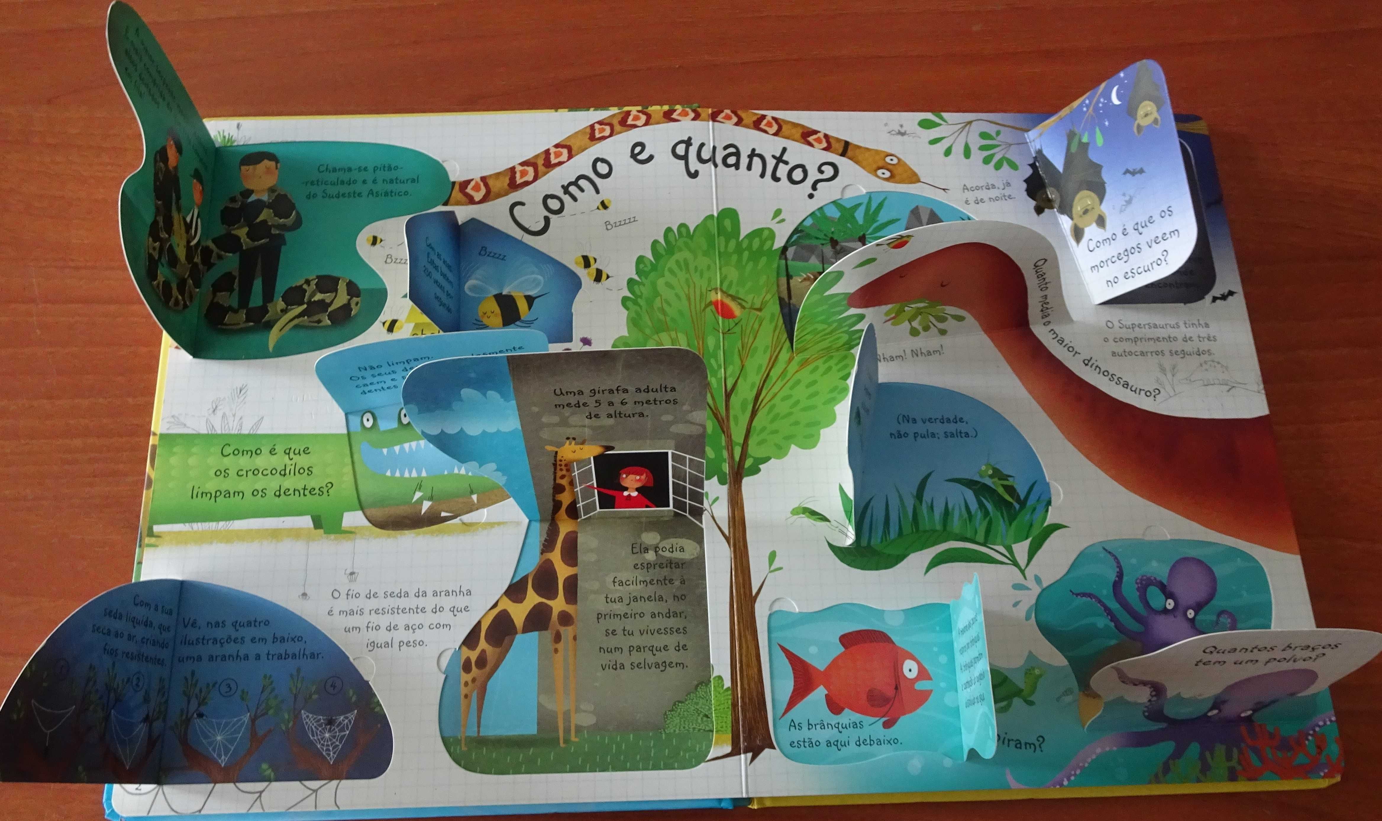 Espreita - Perguntas e Respostas Sobre Animais