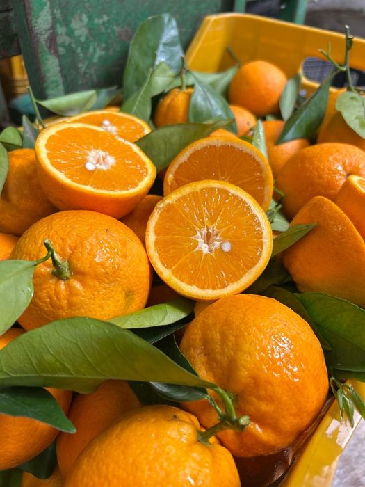 Mandarynki, pomarańcze, cytryny prosto z Włoch