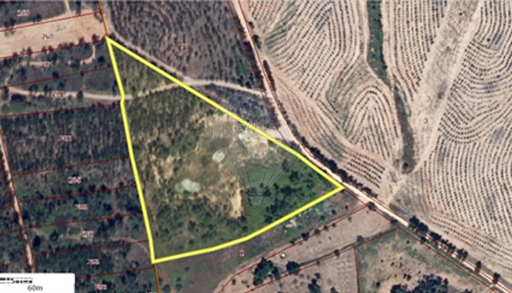 Terreno  para venda
