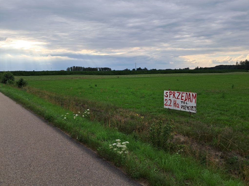 Sprzedam łąkę 2.26 ha.