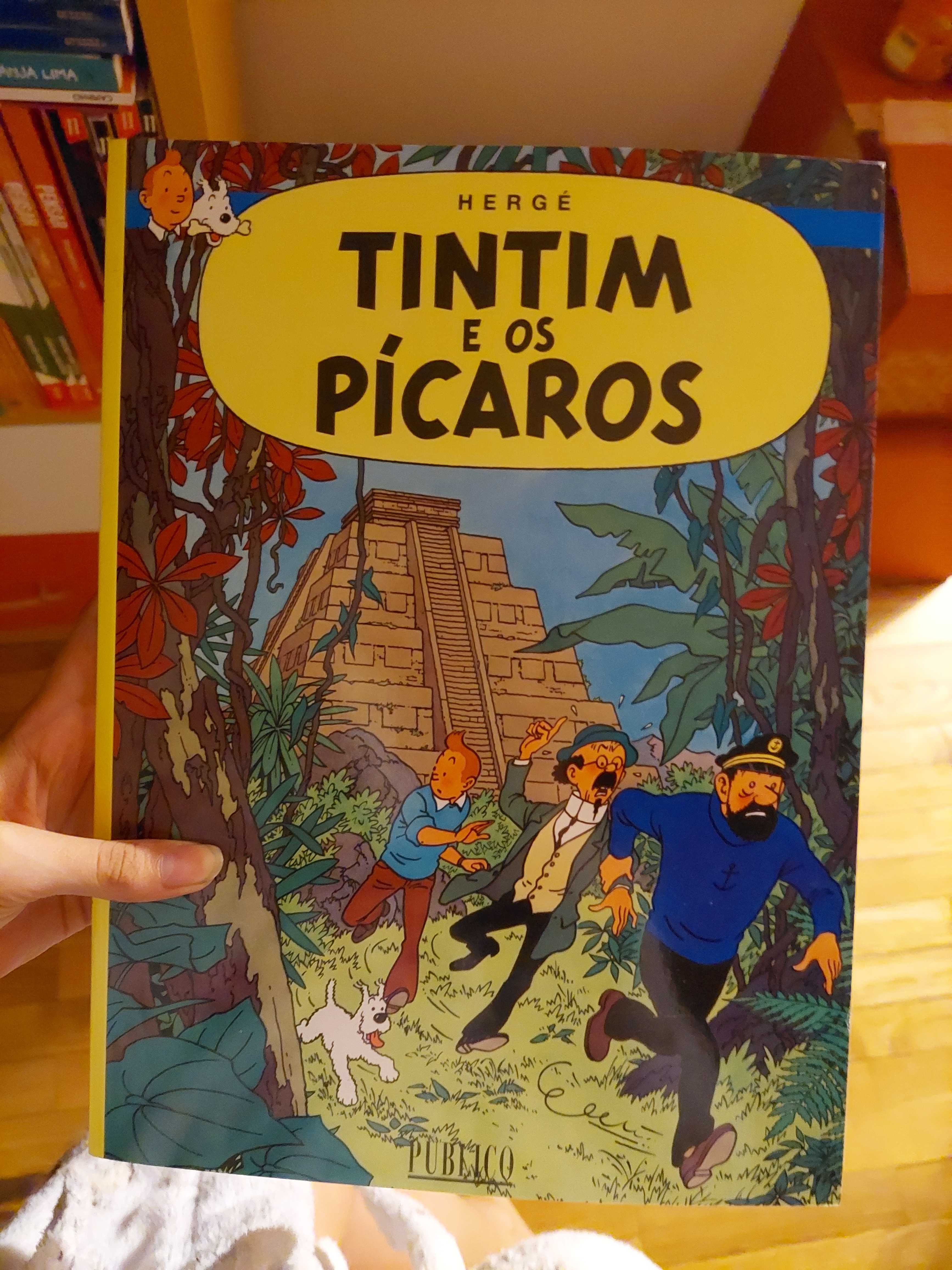 Tintin e os Pícaros edição Público