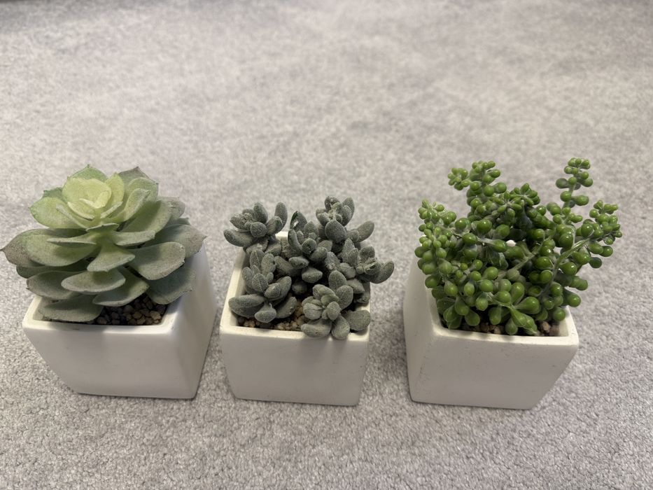 Zestaw 3 sztucznych roślin w ceramicznych doniczkach