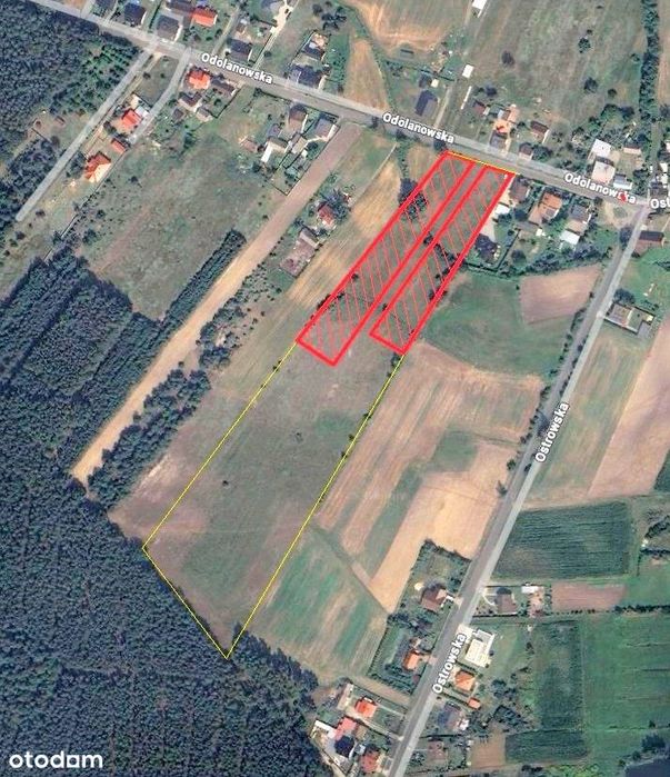 Duża działka pod osiedle domów jednorodzinnych