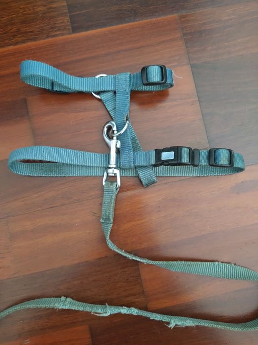 Conjunto Trela e Peitoral