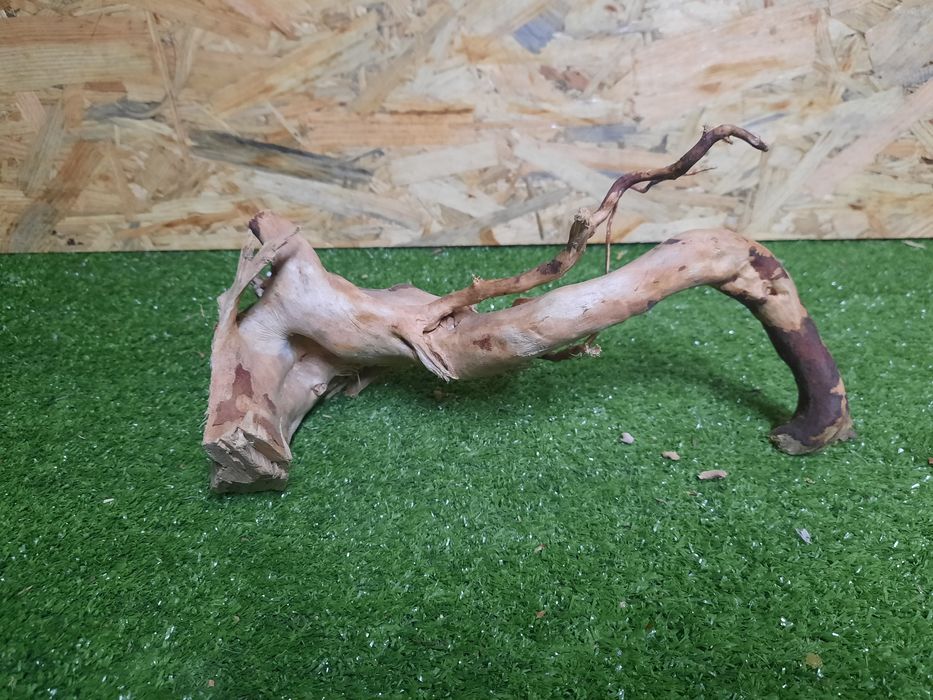 Korzeń do akwarium Red Moore Wood nr 956 o wymiarach 28/12/14