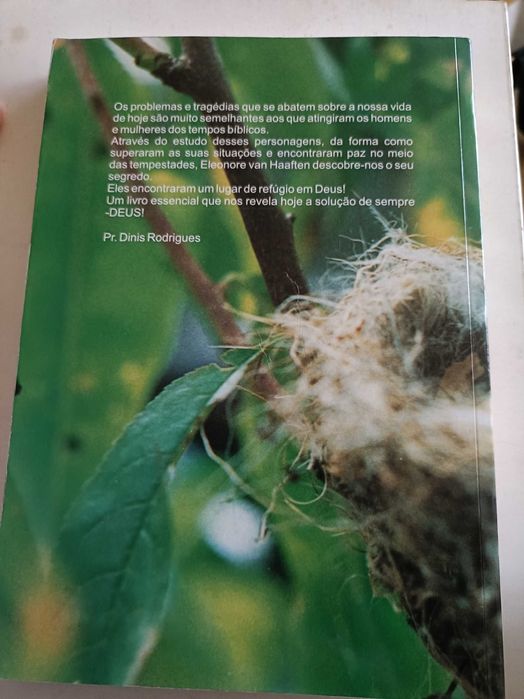 Um Refúgio Para o Meu Coração, Eleonore van Haaften