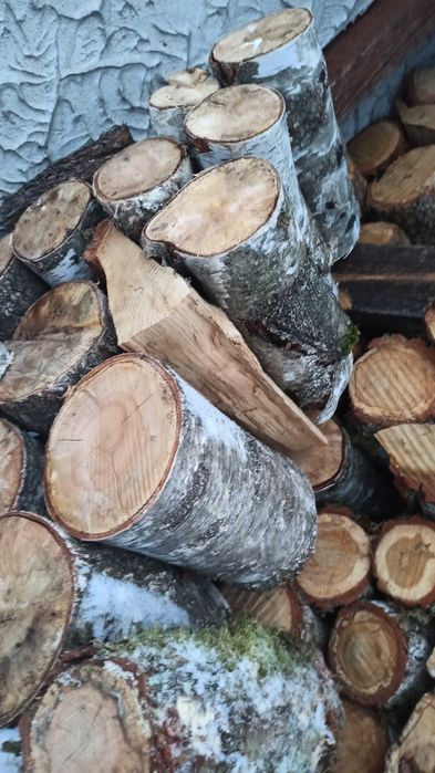Dąb Brzoza Drzewo Drewno SUCHE SUCHA  Opał Kominkowe Kominek