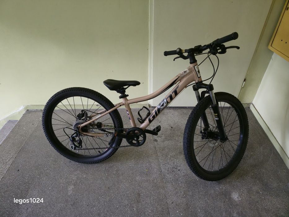 Rower dirty Giant