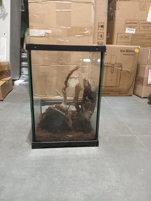 |•Terrarium firmy Repti-Zoo 25x21x21•|