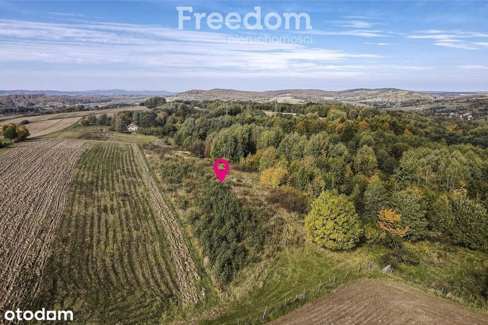 Działka 44 ary przy lesie w Grabówce